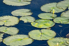Lake Peten Itza, Petén, Guatemala
