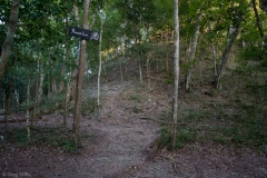 Leon pyramid, Mirador