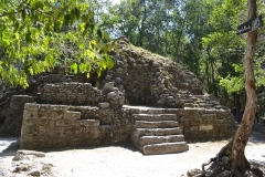 The twin structures of La Muerta