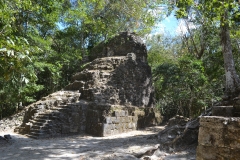 The twin structures of La Muerta