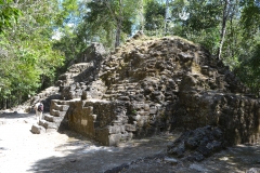 The twin structures of La Muerta