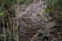 Temple 1 Nakbe, stairs