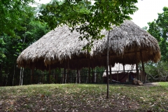 Refugio de Vida Silvestre Puerto Arturo