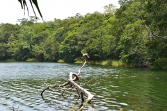Refugio de Vida Silvestre Puerto Arturo