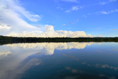 Refugio de Vida Silvestre Puerto Arturo