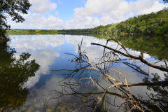 Refugio de Vida Silvestre Puerto Arturo