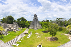 Tikal milenaria