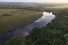 Las Guacamayas Biological Station and Waca Peru Site